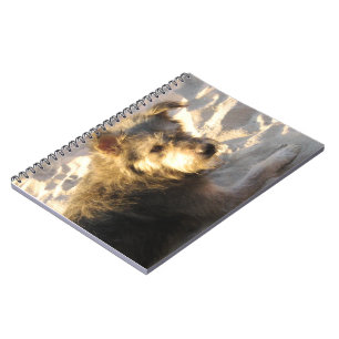 Caderno Espiral Tailandês Beach Dog