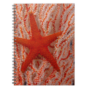 Caderno Espiral Tailândia, Sea Star Aka Starfish