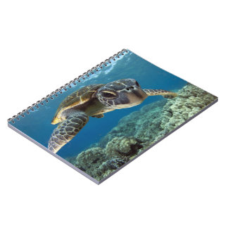 Caderno Espiral Tartaruga de mar verde havaiana
