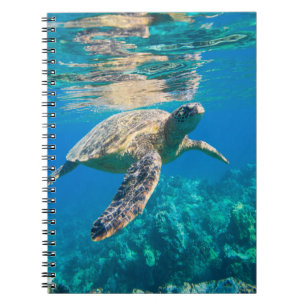 Caderno Espiral Tartaruga do Mar Nadado