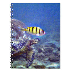 Caderno Espiral Tartaruga marinha