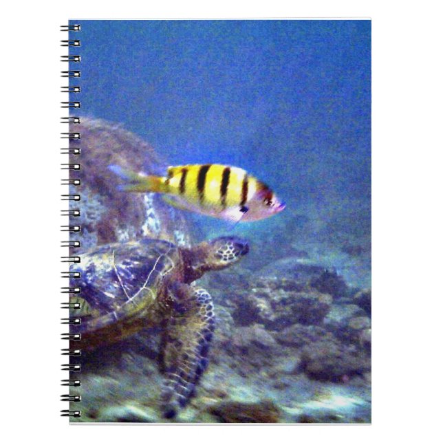 Caderno Espiral Tartaruga marinha (Frente)