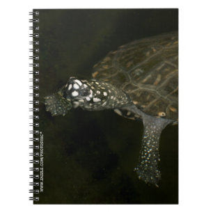 Caderno Espiral Tartaruga Nadando
