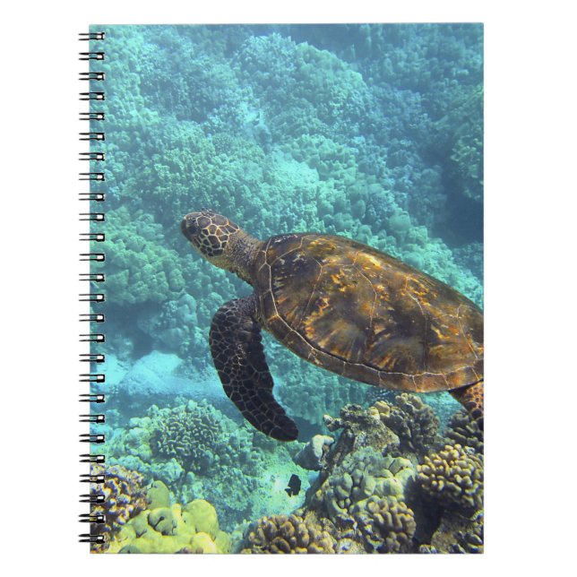 Caderno Espiral tartaruga no mar (Frente)