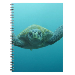 Caderno Espiral Tartaruga Verde (Chelonia mydas agassisi), Central