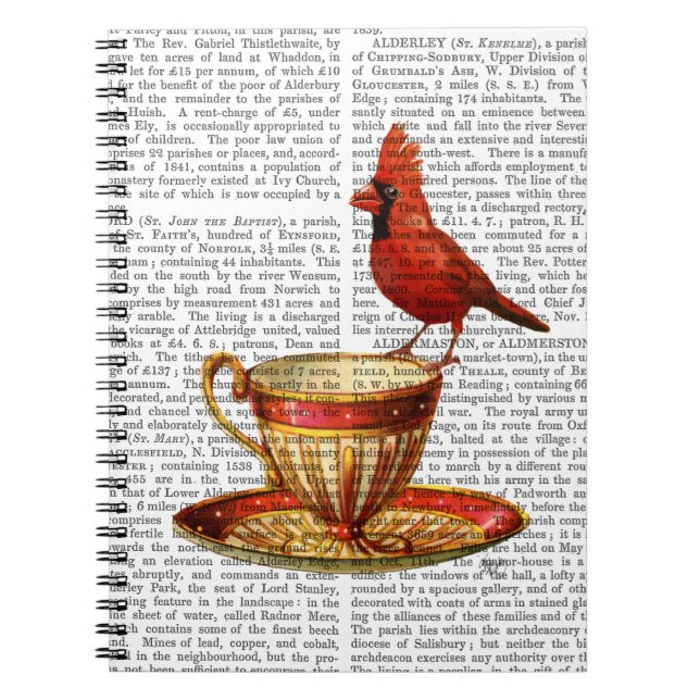 Caderno Espiral Teacup E Cardinal Vermelho (Frente)