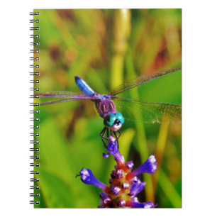 Caderno Espiral Teal Rainbow Dragonfly