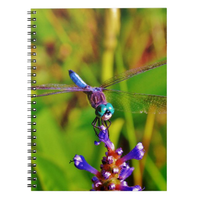 Caderno Espiral Teal Rainbow Dragonfly (Frente)