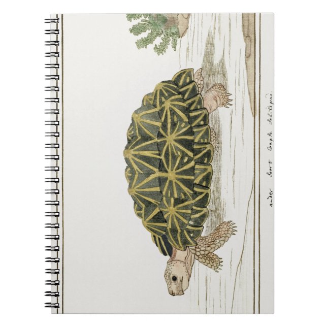 Caderno Espiral Tent Tortoise | Turtle Beach Sea Animal (Frente)