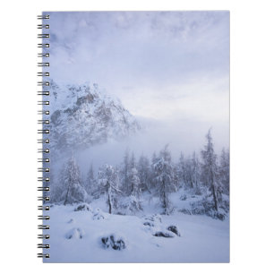 Caderno Espiral Terra maravilhosa do inverno, nevoeiro, floresta d