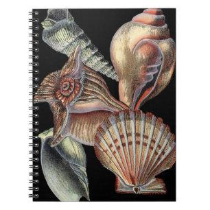 Caderno Espiral Tesouros do mar