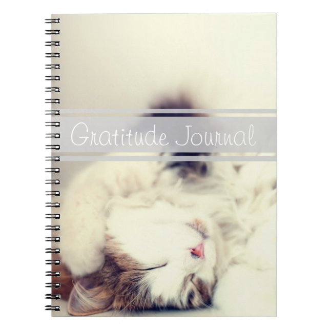 Caderno Espiral Texto Personalizável de Gato de Diário de Adormeci (Frente)