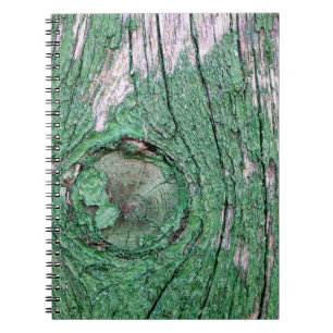 Caderno Espiral Textura De Fundo Da Madeira Verde Pintada Pintada
