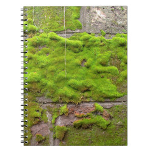 Caderno Espiral Textura verde de rocha do muro do Moss