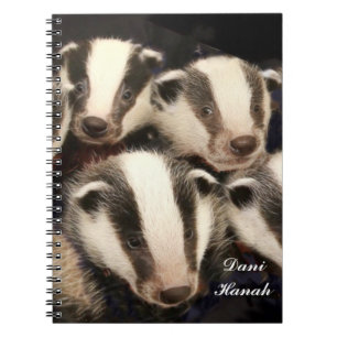 Caderno Espiral Texugo bonito Cubs