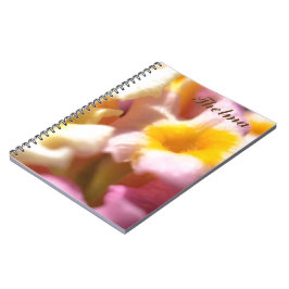 Caderno Espiral Thelma - notebook
