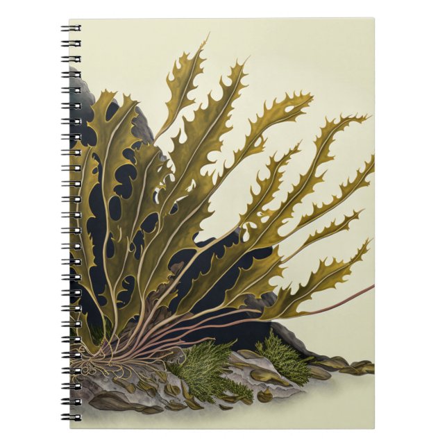 Caderno Espiral Tidal Fronds (Frente)