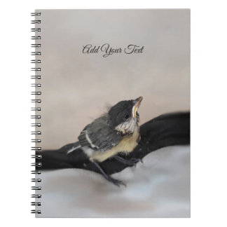 Caderno Espiral Tidi, meu Pássaro, o Parus Major