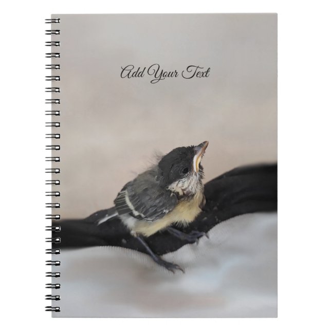 Caderno Espiral Tidi, meu Pássaro, o Parus Major (Frente)