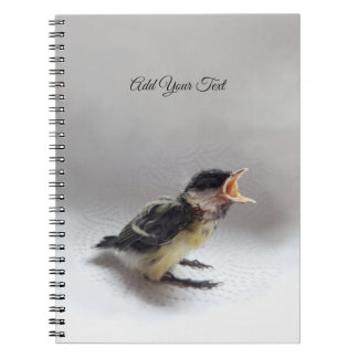 Caderno Espiral Tidi, meu Pássaro, o Parus Major