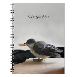 Caderno Espiral Tidi, meu Pássaro, o Parus Major