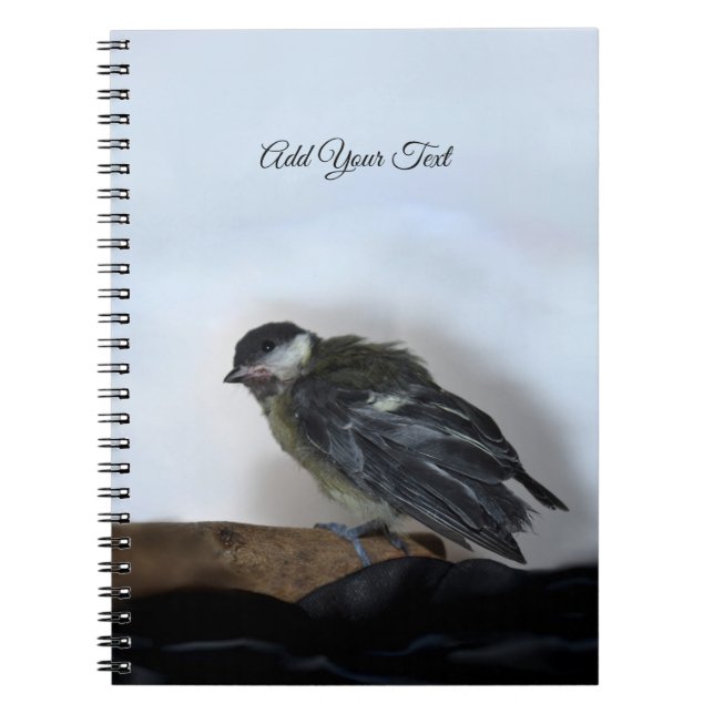 Caderno Espiral Tidi, meu Pássaro, o Parus Major (Frente)
