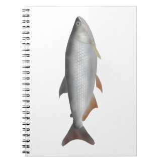 Caderno Espiral Tiete tetra