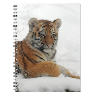 Caderno Espiral Tiger_2015_0102