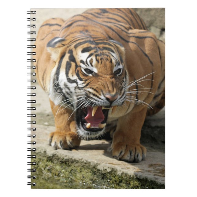 Caderno Espiral Tiger_2015_0156 (Frente)