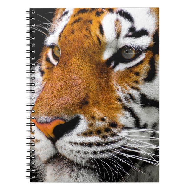 Caderno Espiral Tigre (Frente)