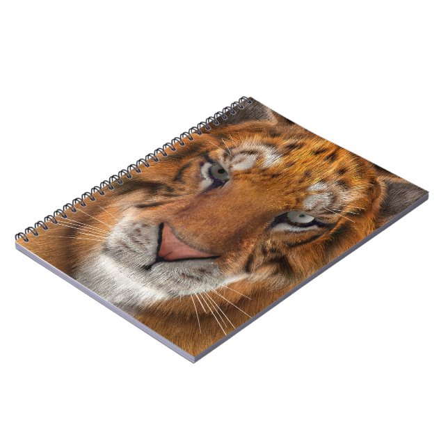 Caderno Espiral Tigre (Left Side)