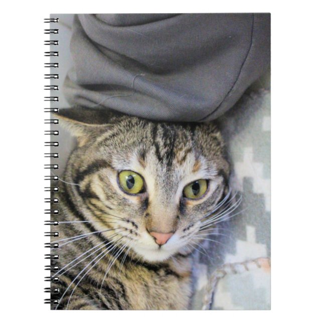 Caderno Espiral Tigre (Frente)