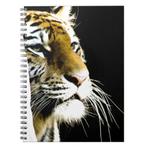 Caderno Espiral Tigre