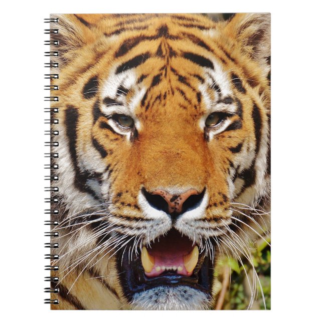 Caderno Espiral Tigre (Frente)