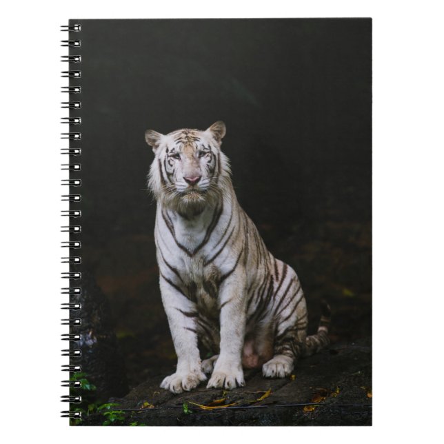 CADERNO ESPIRAL TIGRE BRANCA (Frente)