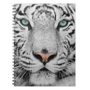 Caderno Espiral Tigre branco