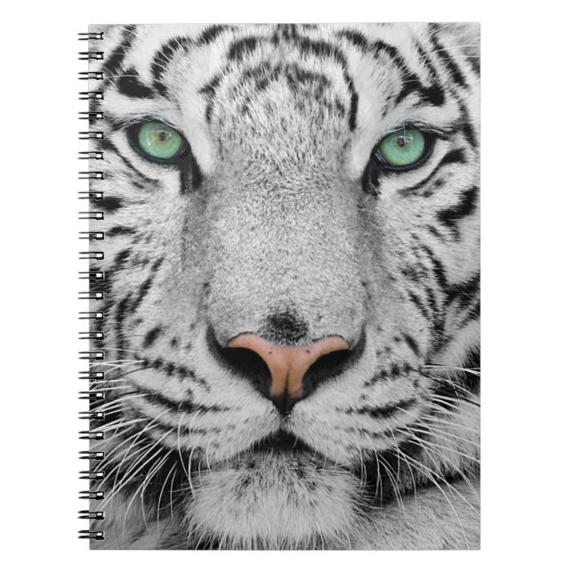 Caderno Espiral Tigre branco (Frente)