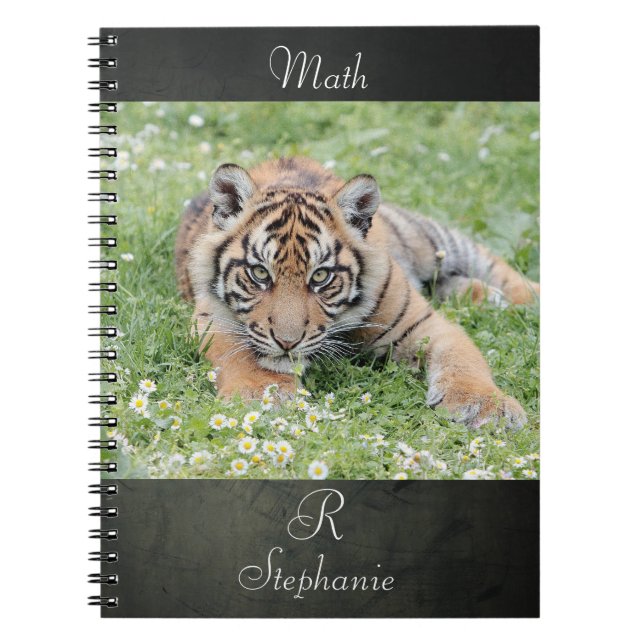 Caderno Espiral Tigre de fotografia do notebook, animais 0254. (Frente)