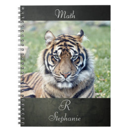 Caderno Espiral Tigre de fotografia do notebook, animais 0255.