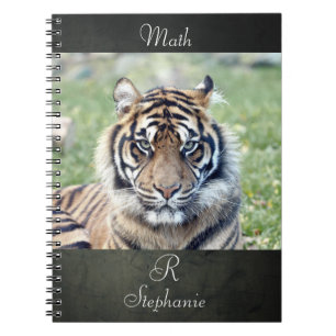 Caderno Espiral Tigre de fotografia do notebook, animais 0255.