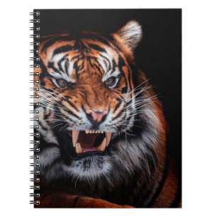 Caderno Espiral Tigre de Sumatran (Panthera tigris sumatrae) Beaut