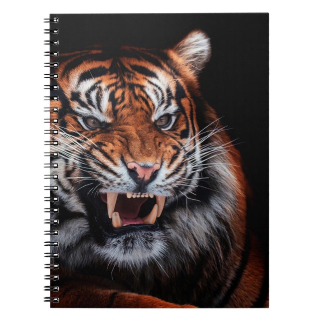 Caderno Espiral Tigre de Sumatran (Panthera tigris sumatrae) Beaut (Frente)