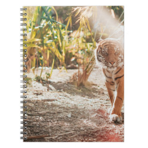 CADERNO ESPIRAL TIGRE MARAVILHOSA NO GESTO DE CAMINHADA