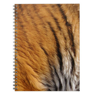 Caderno Espiral Tigre-Stripes-Big Cat Wildlife