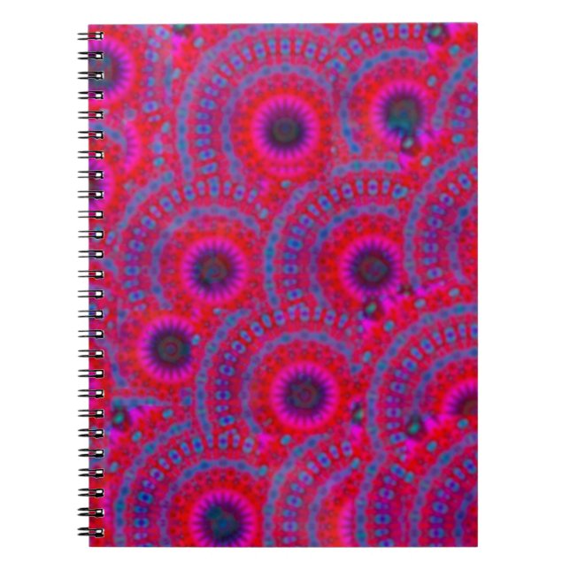 CADERNO ESPIRAL TINTA DE COR MODERNA MANDALA ROSA (Frente)