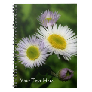 Caderno Espiral Tiny Daisies Fleabane Flower Nature