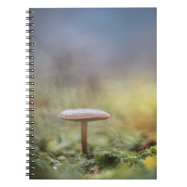 Caderno Espiral Tiny Mushroom Nature Foto (Frente)