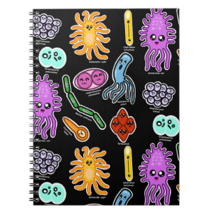 Caderno Espiral Tipos De Bactérias