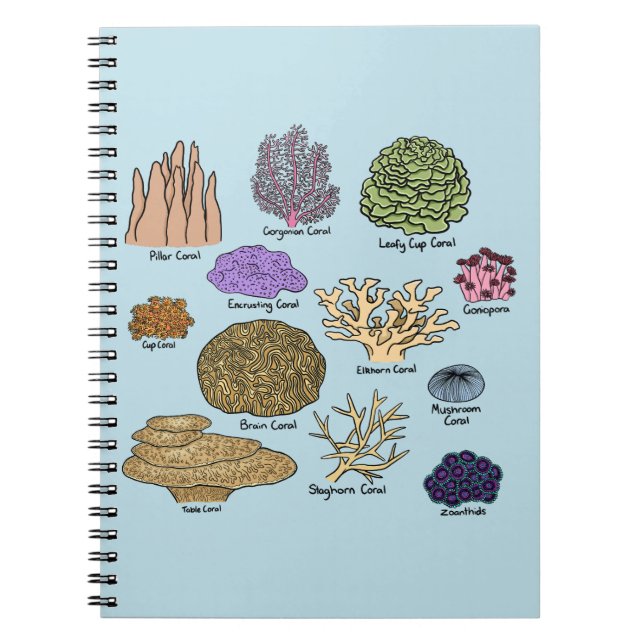 Caderno Espiral Tipos De Coral (Frente)