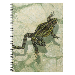 Caderno Espiral Toad Swinning na água